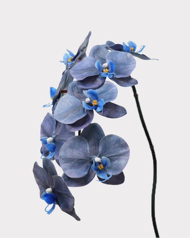 8-Head Phalaenopsis Orchid Faux Flower - 36.5"
