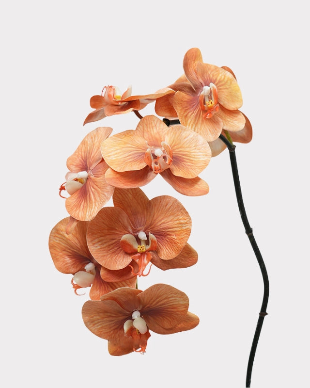 8-Head Phalaenopsis Orchid Faux Flower - 36.5"