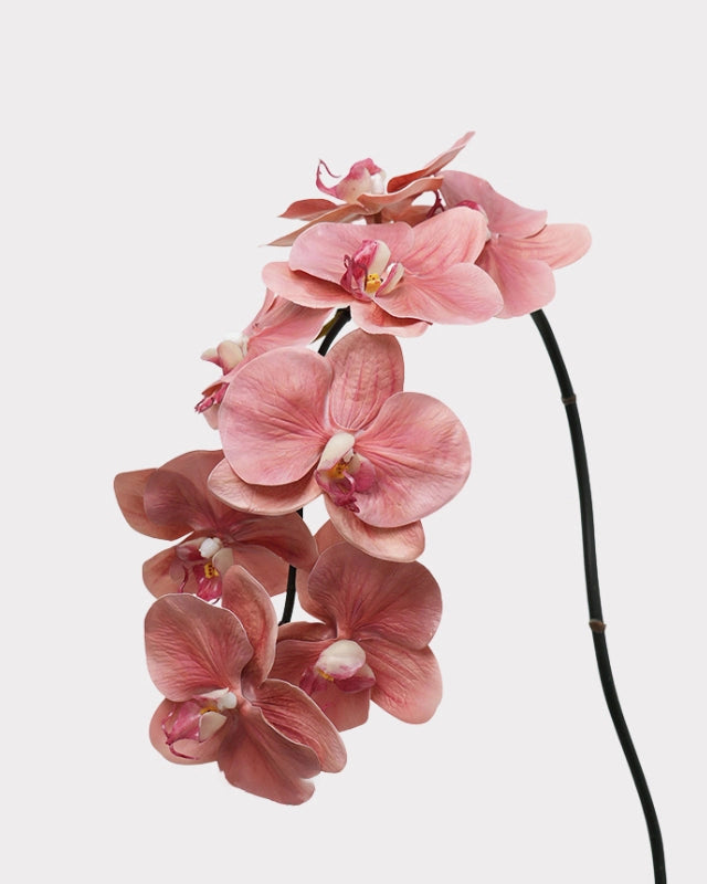 8-Head Phalaenopsis Orchid Faux Flower - 36.5"