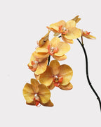 8-Head Phalaenopsis Orchid Faux Flower - 36.5"
