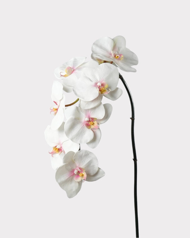 8-Head Phalaenopsis Orchid Faux Flower - 36.5"