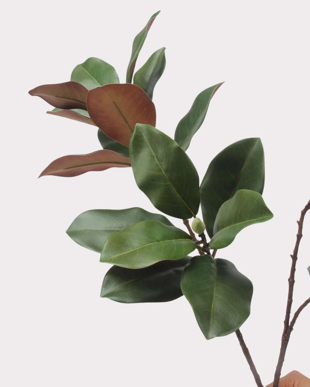 2-Head Magnolia Leaf Faux Foliage - 29"