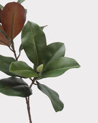 2-Head Magnolia Leaf Faux Foliage - 29"