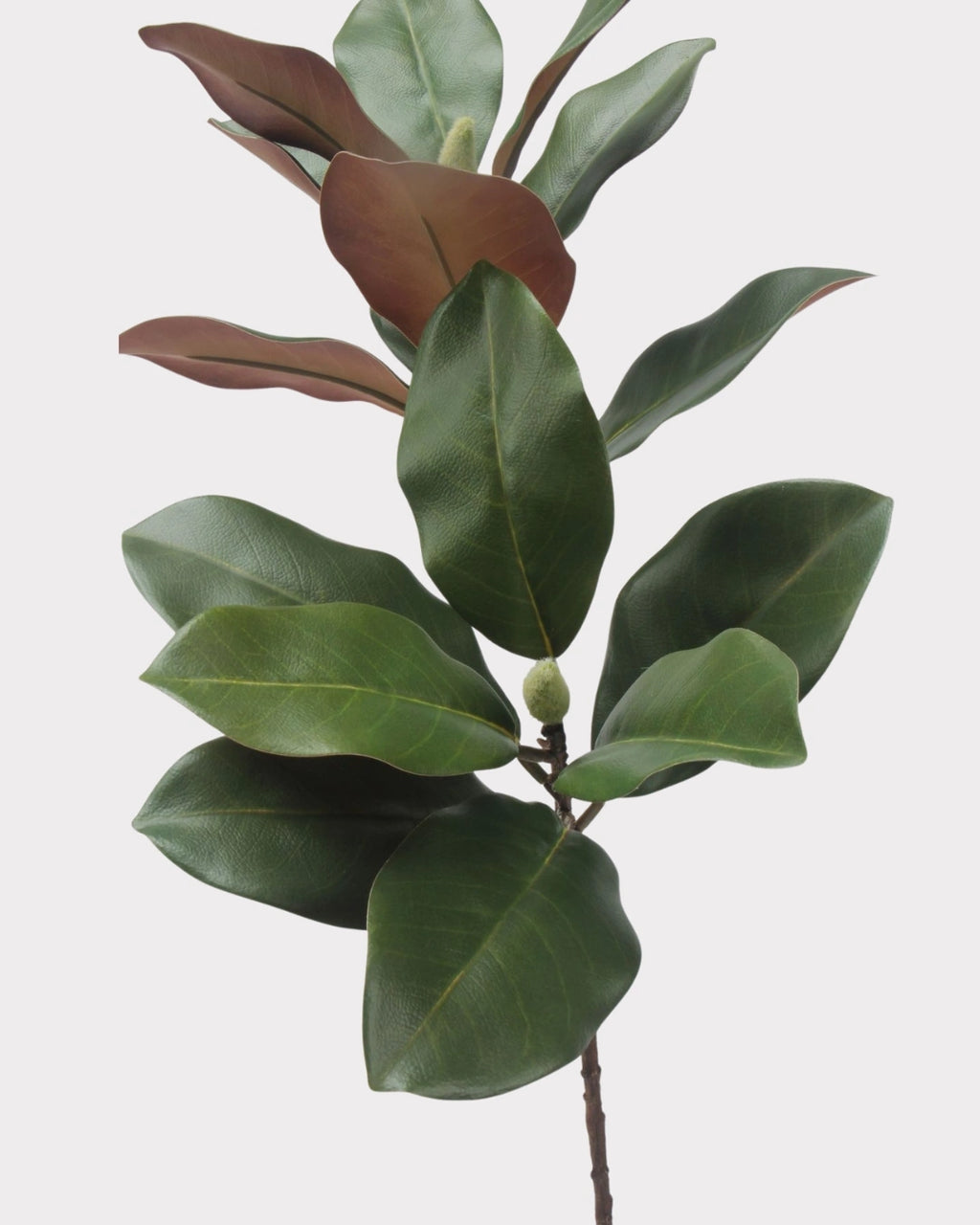 2-Head Magnolia Leaf Faux Foliage - 29"