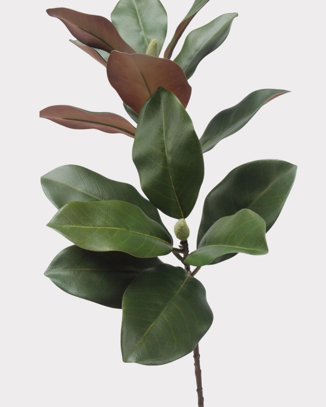 2-Head Magnolia Leaf Faux Foliage - 29"