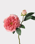 2-Head Peony Faux Flower in Deep Pink - 19"
