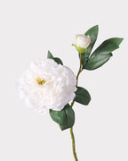 2-Head Peony Faux Flower in White - 19"