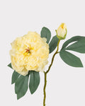 2-Head Peony Faux Flower in Yellow - 19"