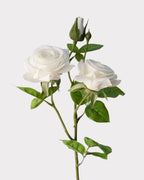 2-Head Rose Faux Flower in White - 23"