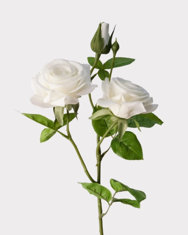 2-Head Rose Faux Flower in White - 23"