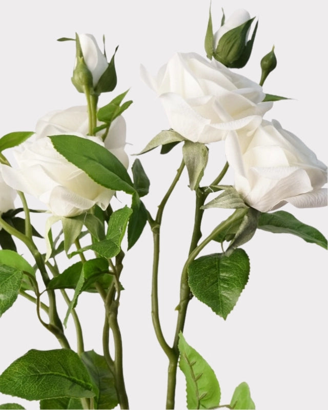2-Head Rose Faux Flower in White - 23"