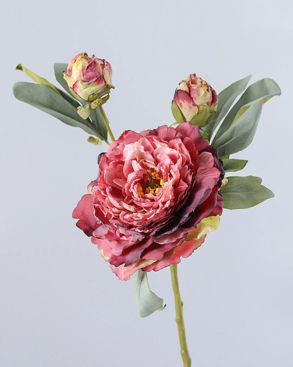 3-Head Burnt Edge Peony Faux Flower - 26"