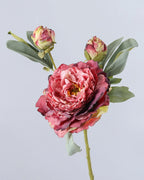 3-Head Burnt Edge Peony Faux Flower - 26"