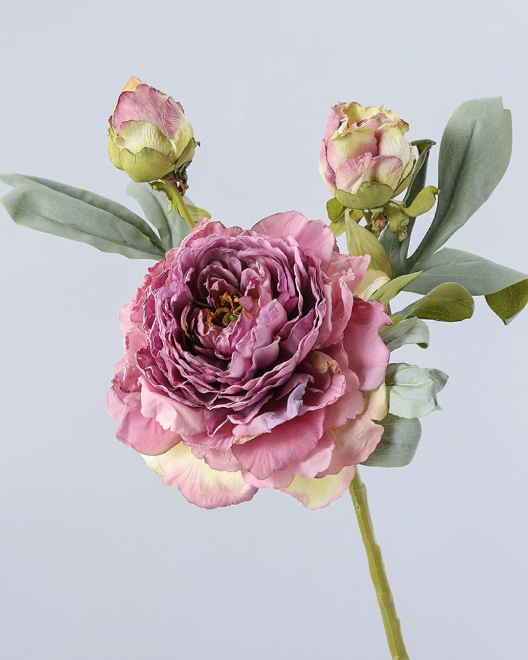 3-Head Burnt Edge Peony Faux Flower - 26"