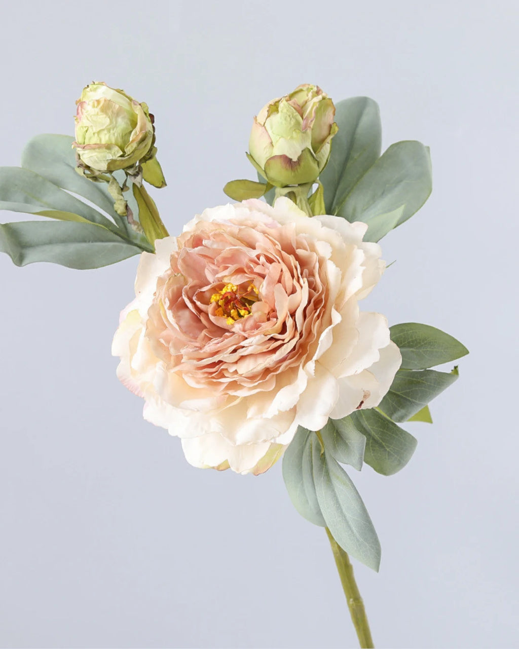 3-Head Burnt Edge Peony Faux Flower - 26"