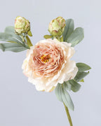 3-Head Burnt Edge Peony Faux Flower - 26"
