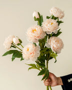 3-Head Peony Faux Flower in Champagne - 29.5"
