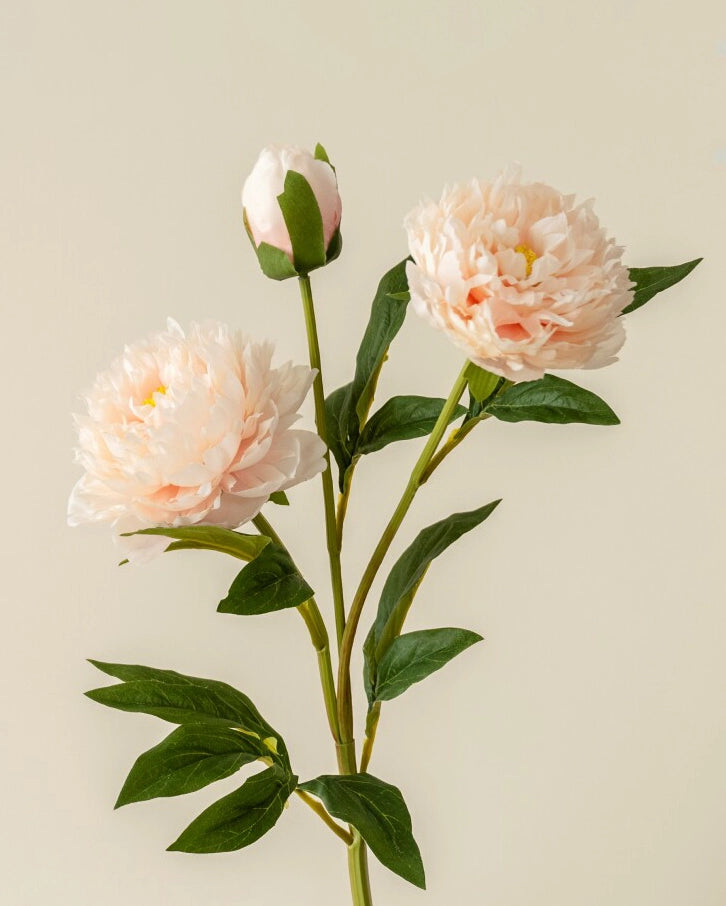 3-Head Peony Faux Flower in Champagne - 29.5"