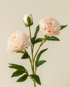 3-Head Peony Faux Flower in Champagne - 29.5"