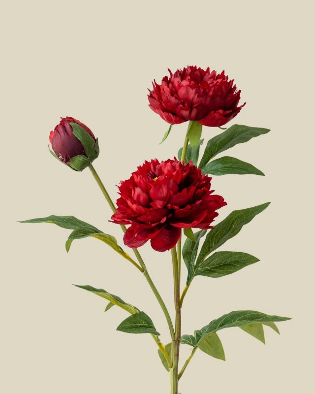 3-Head Peony Faux Flower in Red - 29.5"