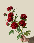3-Head Peony Faux Flower in Red - 29.5"