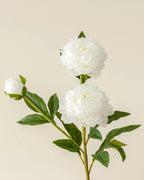 3-Head Peony Faux Flower in White - 29.5"