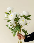 3-Head Peony Faux Flower in White - 29.5"
