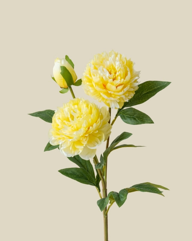 3-Head Peony Faux Flower in Yellow - 29.5"