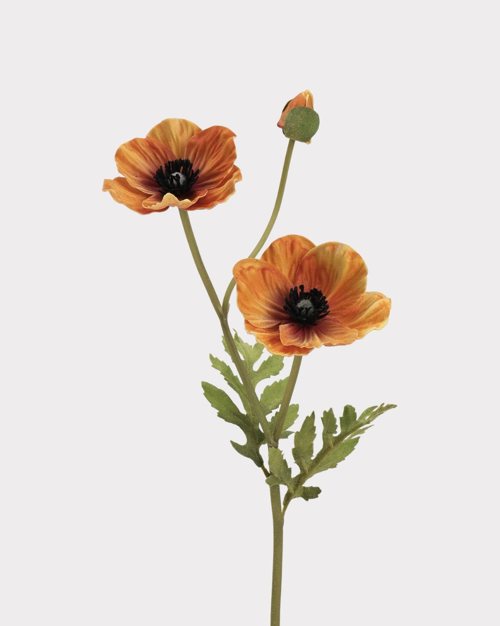 3-Head Poppy Faux Flower in Brown - 18"
