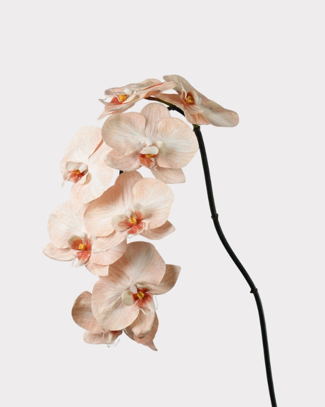 8-Head Phalaenopsis Orchid Faux Flower - 36.5"