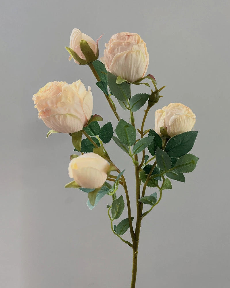 5-Head Vintage Rose Faux Flower in Champagne - 19"