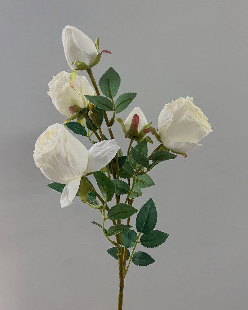 5-Head Vintage Rose Faux Flower in White - 19"