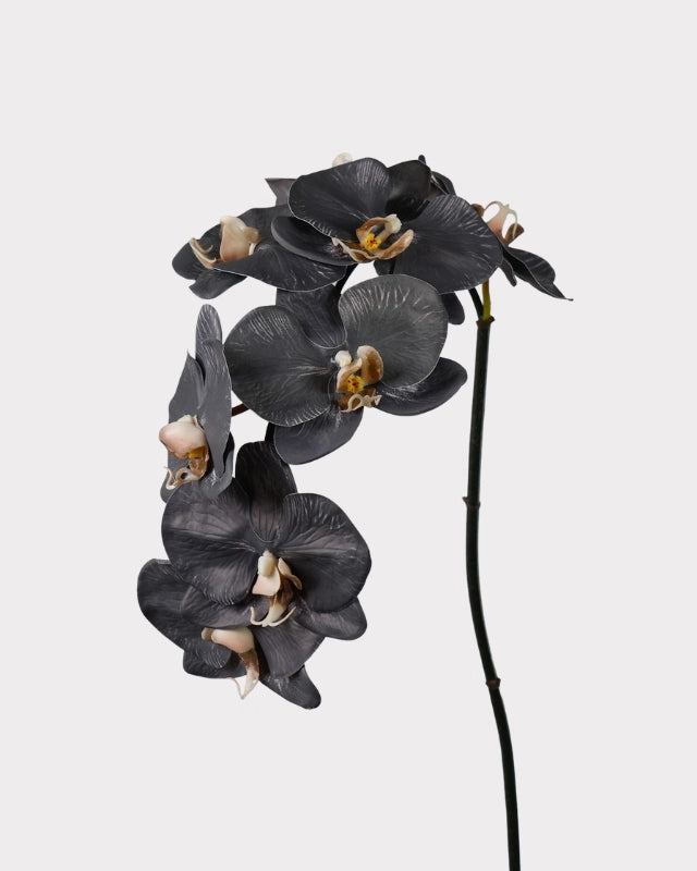 8-Head Phalaenopsis Orchid Faux Flower - 36.5"