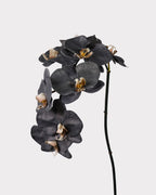 8-Head Phalaenopsis Orchid Faux Flower - 36.5"