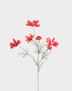 6-Head Gradient Cosmos Faux Flower Stem - 23.6"