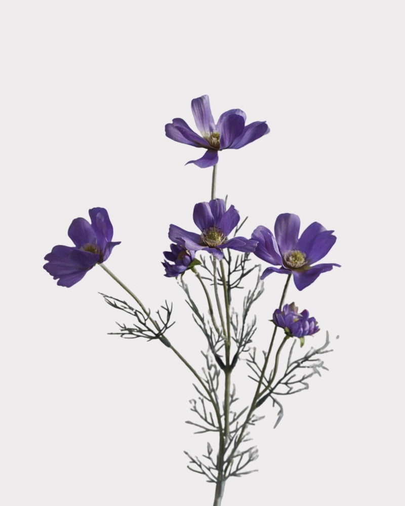 6-Head Gradient Cosmos Faux Flower Stem - 23.6"