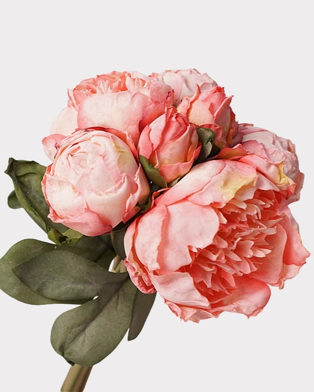 7-Stem Carmine Peony Bouquet - 14"