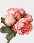 7-Stem Carmine Peony Bouquet - 14"