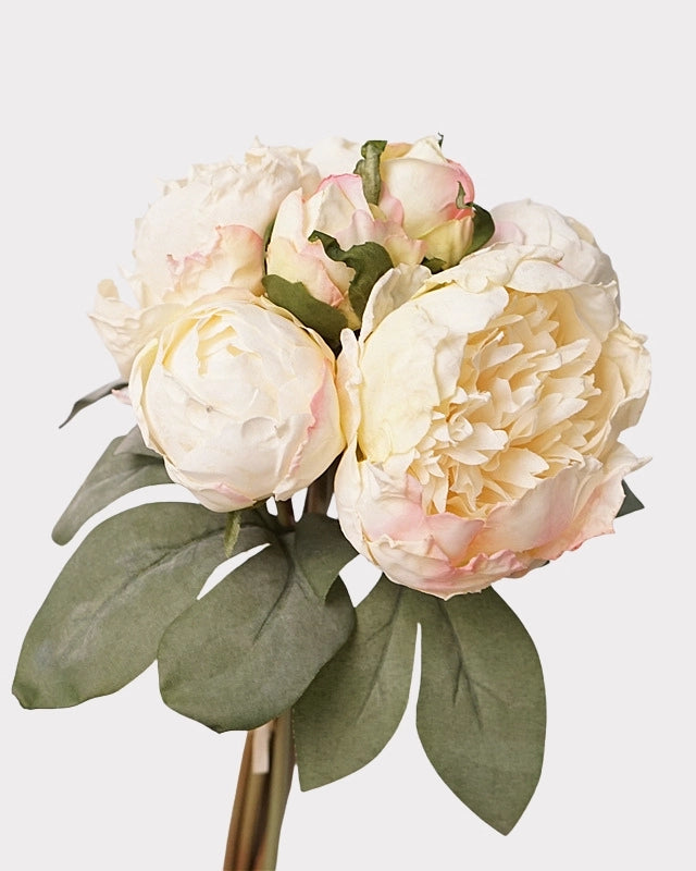 7-Stem Carmine Peony Bouquet - 14"
