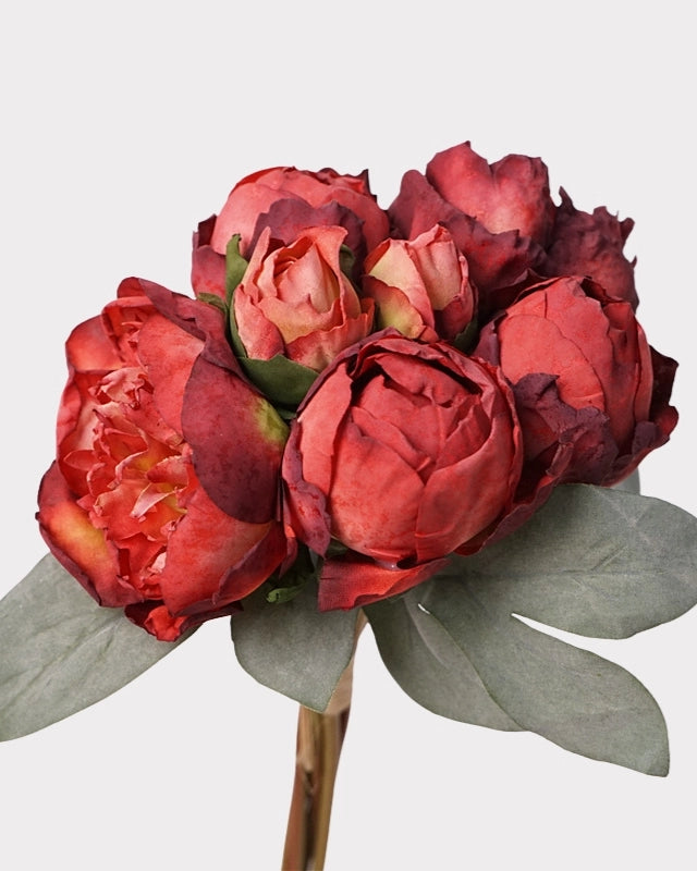 7-Stem Carmine Peony Bouquet - 14"