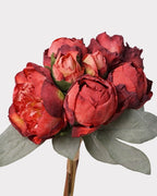 7-Stem Carmine Peony Bouquet - 14"