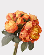 7-Stem Carmine Peony Bouquet - 14"