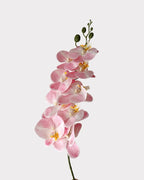 9-Head Faux Film Phalaenopsis Orchid Flower - 38.6"