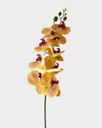9-Head Faux Film Phalaenopsis Orchid Flower - 38.6"