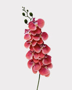 9-Head Faux Film Phalaenopsis Orchid Flower - 38.6"