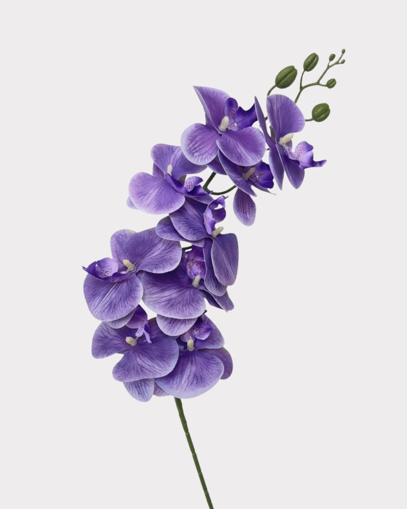 9-Head Faux Film Phalaenopsis Orchid Flower - 38.6"
