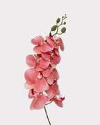9-Head Faux Film Phalaenopsis Orchid Flower - 38.6"