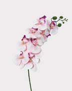 9-Head Faux Film Phalaenopsis Orchid Flower - 38.6"