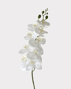 9-Head Faux Film Phalaenopsis Orchid Flower - 38.6"