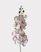 9-Head Faux Film Phalaenopsis Orchid Flower - 38.6"